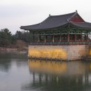 동궁속 이미지