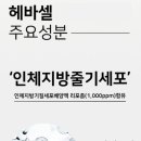 나들이화장품 이미지
