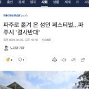 파주로 옮겨 온 성인 페스티벌...파주시 '결사반대' 이미지