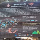 광장1길 이미지