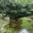 소백산국립공원 남천야영장 | 남천야영장 - 단양 소백산국립공원 - 청주 컴퓨터 수리 - JS SYSTEM - 제이에스 시스템