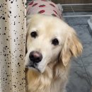 이유스튜디오 이미지