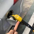 고릴라 바베큐 캠핑장 이미지