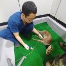 경기도야생동물구조관리센터 이미지