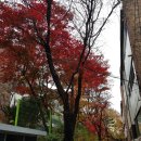 경일부동산공인중개사사무소 이미지