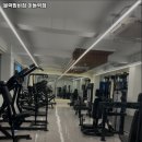 블랙맘바짐 이미지