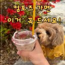 357텐 | 곰돌이 푸 때문에 갔는데 재구매한 건 "버터떡"이었습니다 컴포즈 너티크림라떼 신메뉴 솔직 후기!
