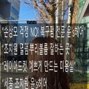 세종 조치원 미용실 윤’s헤어