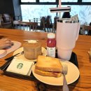 수영강 세월교 | 스타벅스 수영강변DT점 아이와 함께 머물기 좋은 매장 방문후기