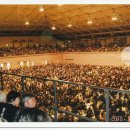 천마인터내셔널 이미지