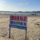 전남 함평 돌머리해수욕장:광주근교 해수욕장 취사가능해수욕장 전남캠핑장 전남강아지동반(+주차정보...