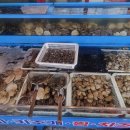 대하다방 이미지