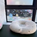 부산유치원 | 부산애견유치원, 라메르시오 후기입니다