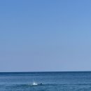 등대목욕탕 이미지