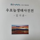 우포늪 생태 사진전 이미지