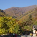 표충사 2 이미지