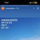 둔내목장 이미지