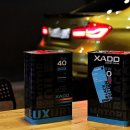 BMW F80 M3 엔진오일교환!! 카프레소 애마 메인터넌스의 날...?^^
