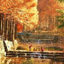 장태산자연휴양림 이미지