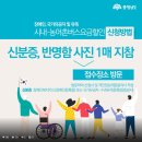 충남 장애인 시내버스 무료 안내-도청 카카오스토리 이미지