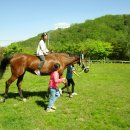 속사초등학교 이미지