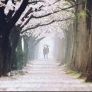 고덕신도시길공인중개사사무소 이미지