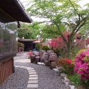 옛집황토방 이미지