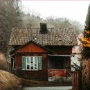 화장품대방출 이미지