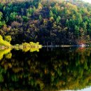 성민모터스 이미지