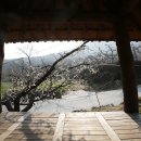 중유경로당 Daum카페