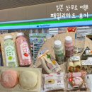 D family | [일본 | 삿포로] 패밀리마트 (Familymart) 구경 후기 / 일본 편의점 디저트 간식 추천 / 딸기모찌 유키...