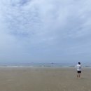 삽시도통나무펜션