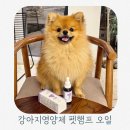 엔도펫 | 강아지영양제 추천 펫햄프 CBD오일로 강아지모질 관리하기