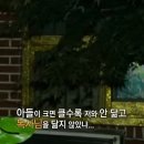 화목사 이미지