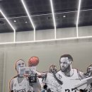 코알라패밀리 이미지