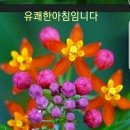 커피타임 이미지