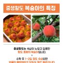 호야네농장