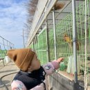 달빛담은캠핑장 이미지