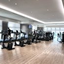 티탄 피트니스 (Titan fitness) 이미지