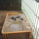 월남농장 이미지