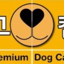 도그컴퍼니 이미지