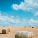 물결한의원 이미지