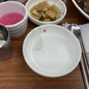 찜닭콩닭