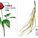 인삼열매(주) 이미지