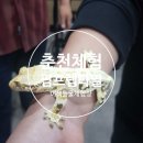핌프렙타일