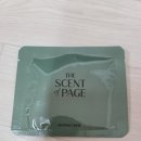시그니처향 더 센트 오브 페이지(THE SCENT of PAGE) 종이 방향제 사용 후기(알레르기 유발 물질 주의)