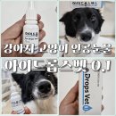 강아지 눈물자국, 눈 이물질에 효과적인 강아지 인공눈물: 아이드롭스벳 0.1% 사용 후기