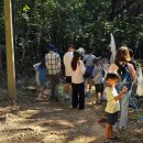 순천곤충박물관 이미지