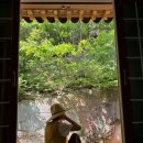 청춘 스테이 이미지