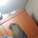 가야빌딩 이미지